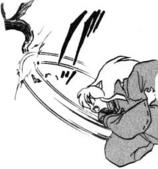 inu31.jpg